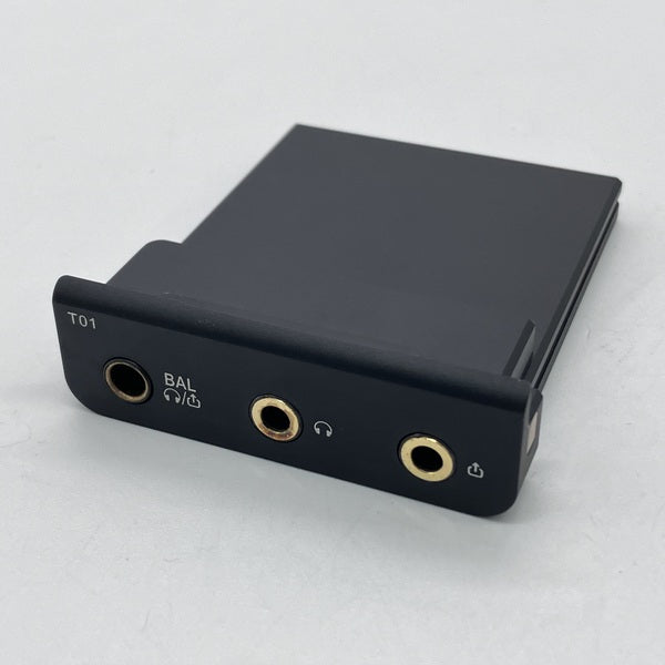 【中古】Cayin T01オーディオマザーボード・デュアルPCM1792A DAC搭載【秋葉原】