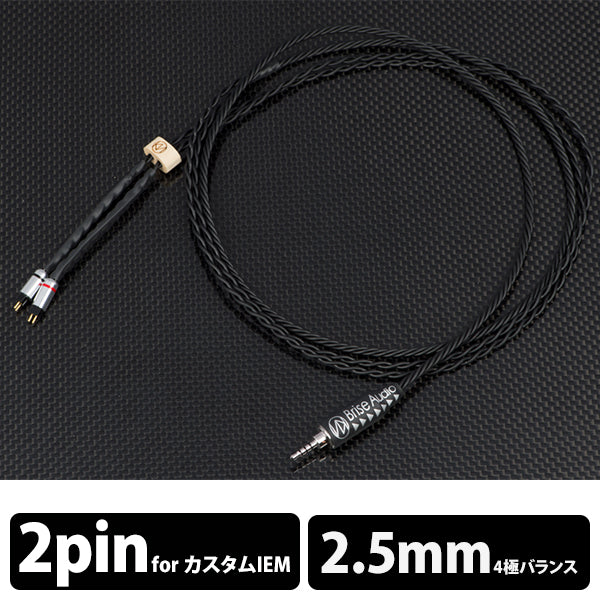UPG001Rh+  [4極2.5mmφプラグ(ロジウムメッキ)-2PIN]
