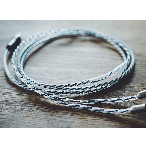 NEUTRON 2.5mm 4極 JH4pin type（No Variable Bass Control）type