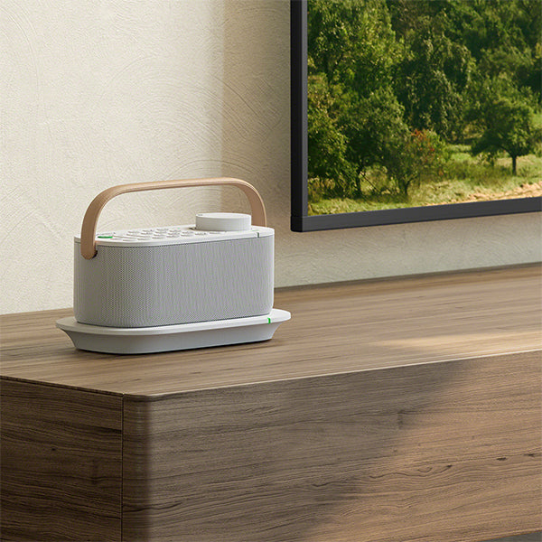 SRS-LSR200 お手元テレビスピーカー