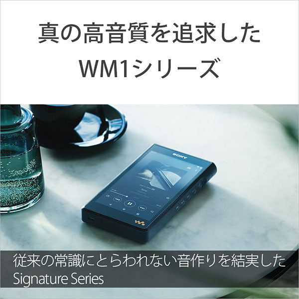 NW-WM1AM2