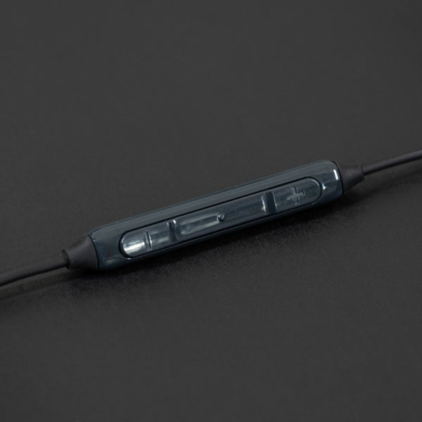 CRAZY RACCOON EARPHONE【～無くなり次第終了！Type-C変換ケーブルプレゼントキャンペーン！】