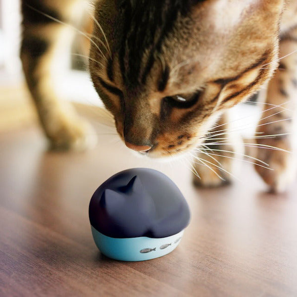 NEKO 完全ワイヤレスイヤホン