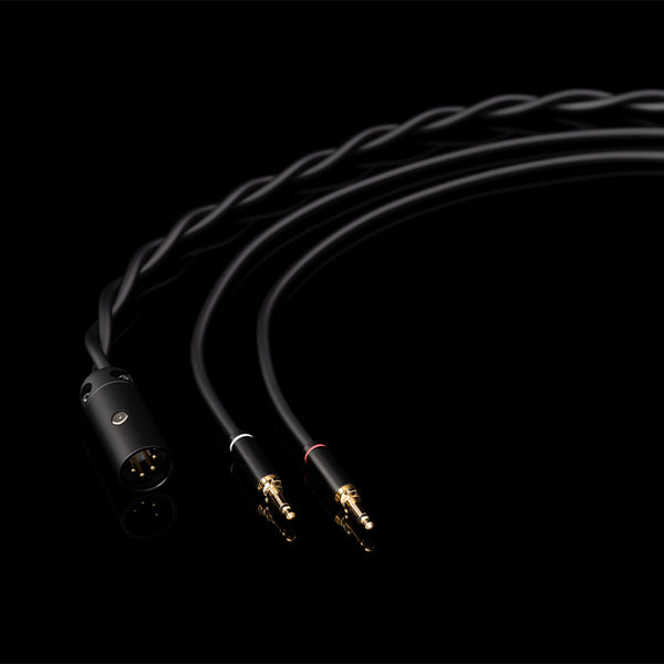 D8000 DC 【FI-D8DPAL】