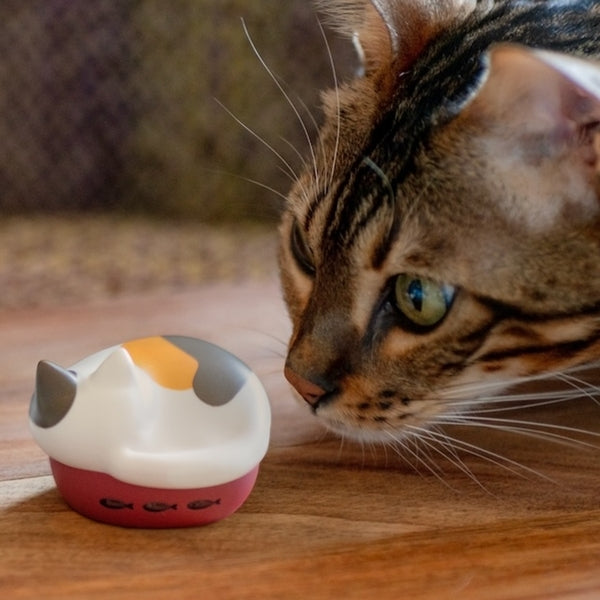 NEKO 完全ワイヤレスイヤホン