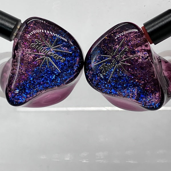 【中古】Forteza Purple【名古屋】
