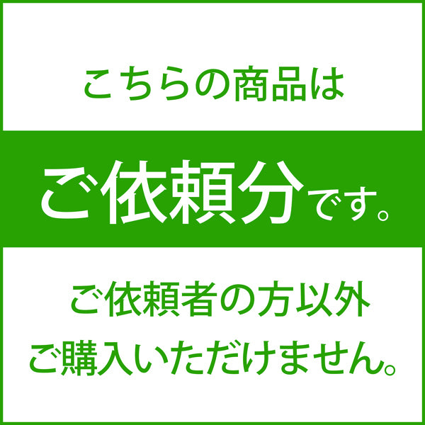 【ご依頼分】【中古】PHÖNIX Final Edition(Universal Fit)【秋葉原】